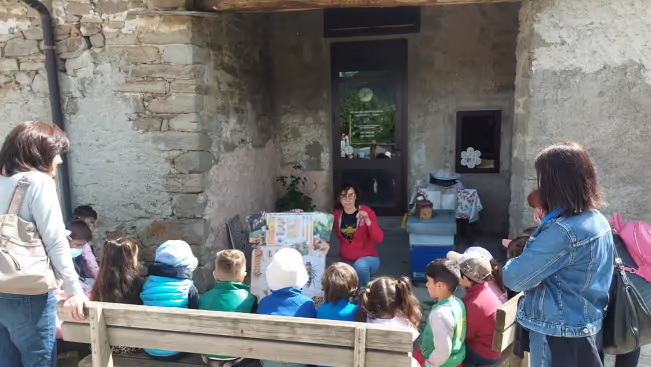 Lezione sulle api all’aperto: i bambini seduti al banco ascoltano