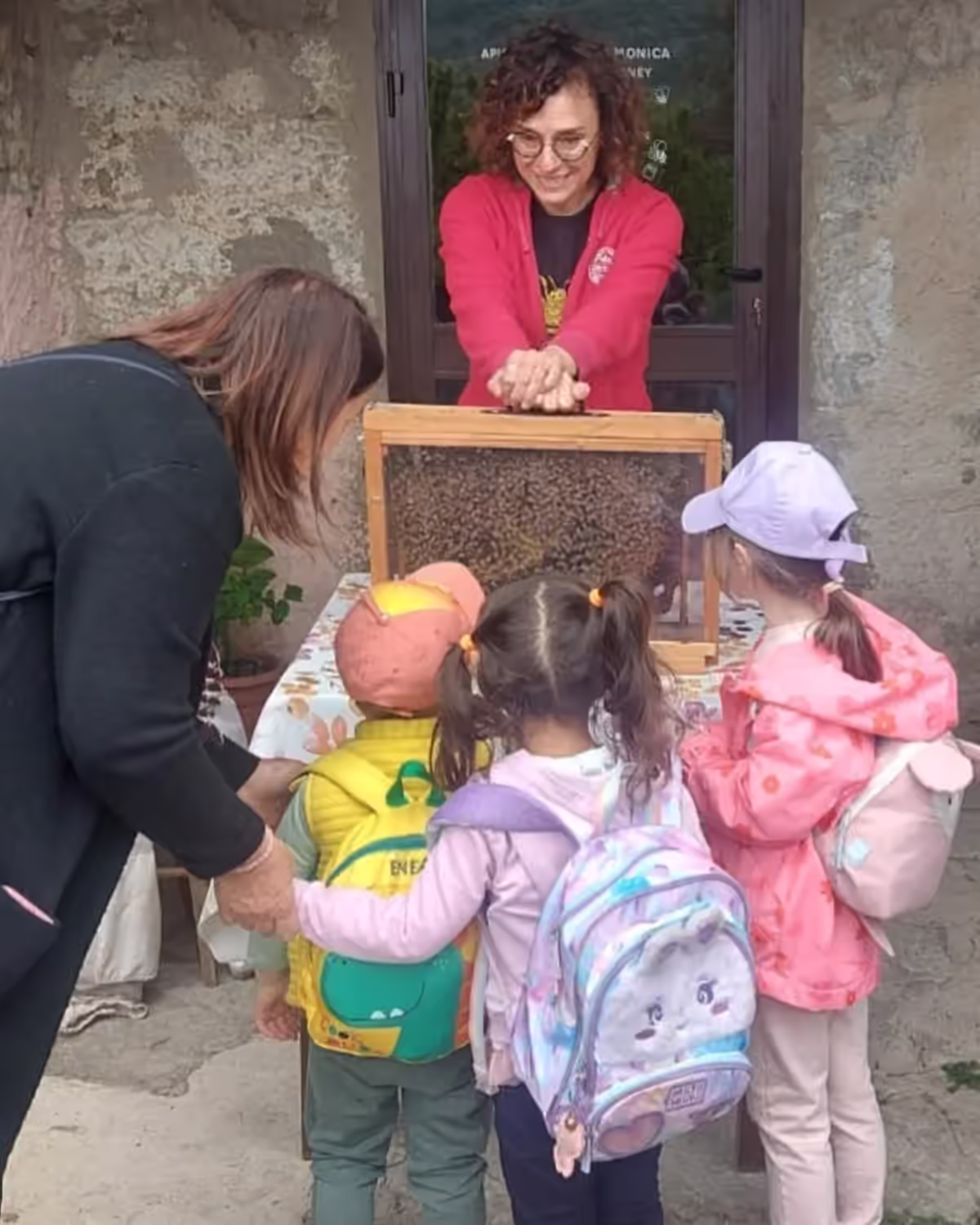 Un’insegnante mostra a un gruppo di bambini un nido di api